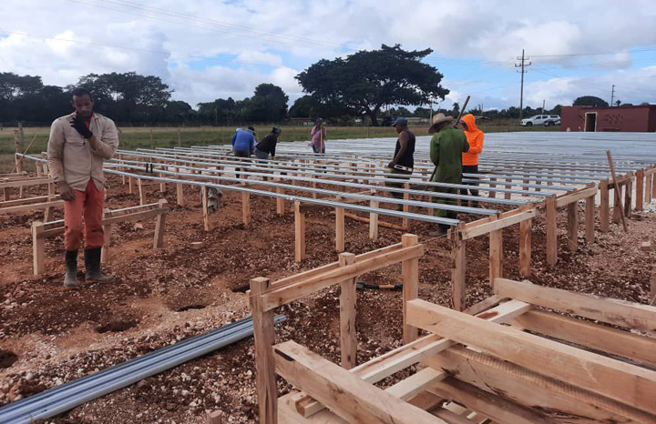     Inicio     Ministerio     Actividades Rectoras     Marco normativo  Asegurará vivero la reforestación de ecosistema costero avileño