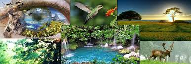 5 de junio “Dia Mundial del Medio Ambiente”